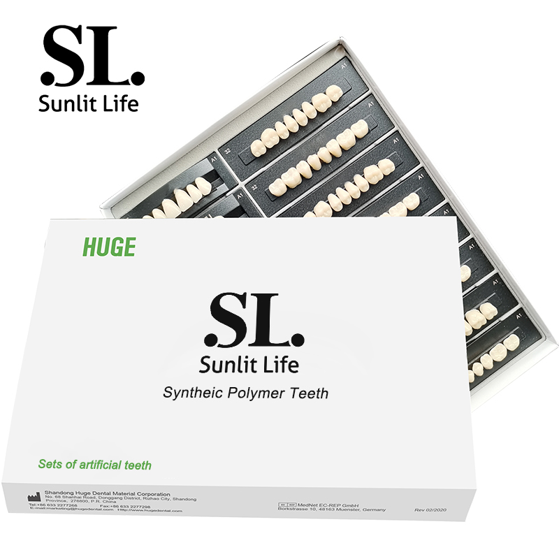 SL SUNLIT LIFE Dental prosthesis Synthetic acrylic resin dental prosthesis set